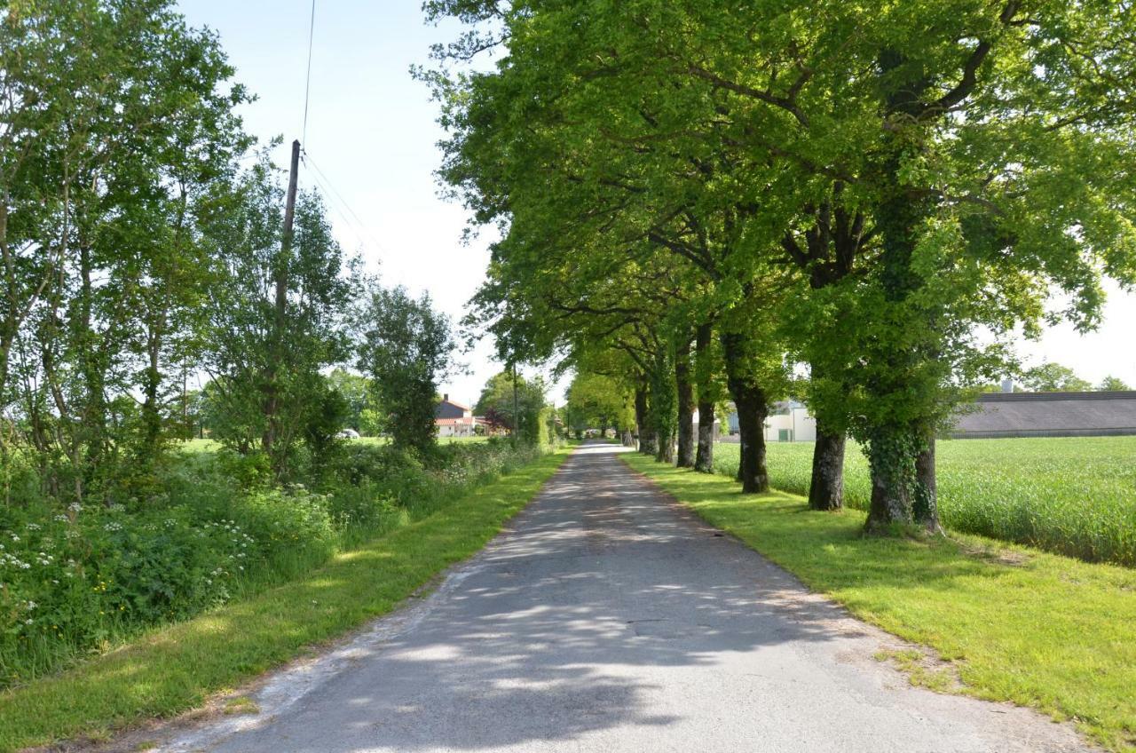 La Verrie Gites La Lande المظهر الخارجي الصورة